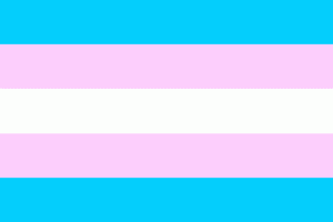 c2189-transgenderprideflag